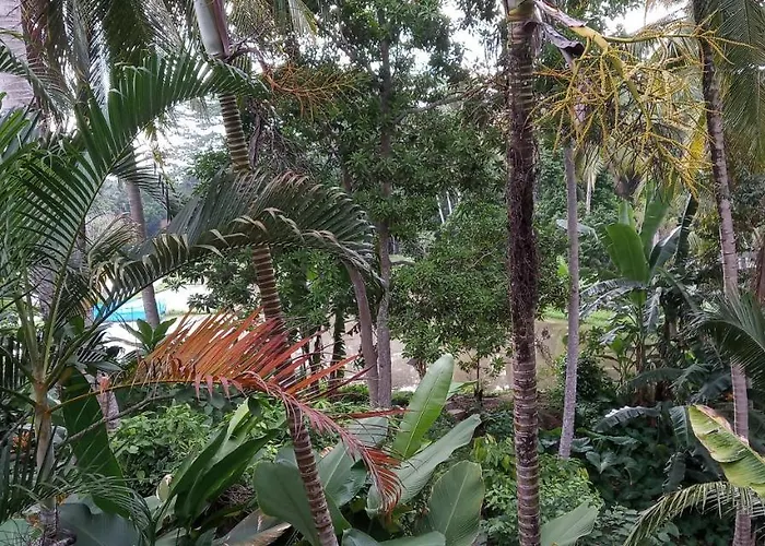 Cahaya Intan * Ubud